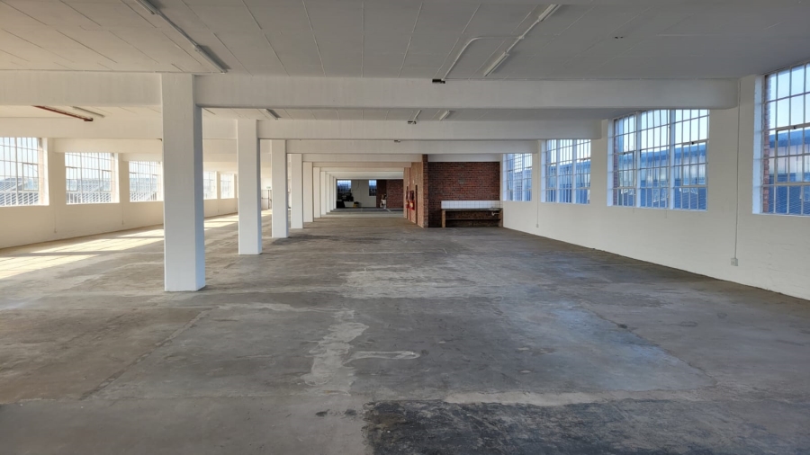 To Let commercial Property for Rent in Diep River Western Cape
